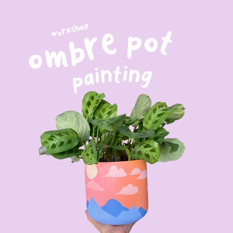 Workshop: Ombré Pot Painting (Planter Kit)